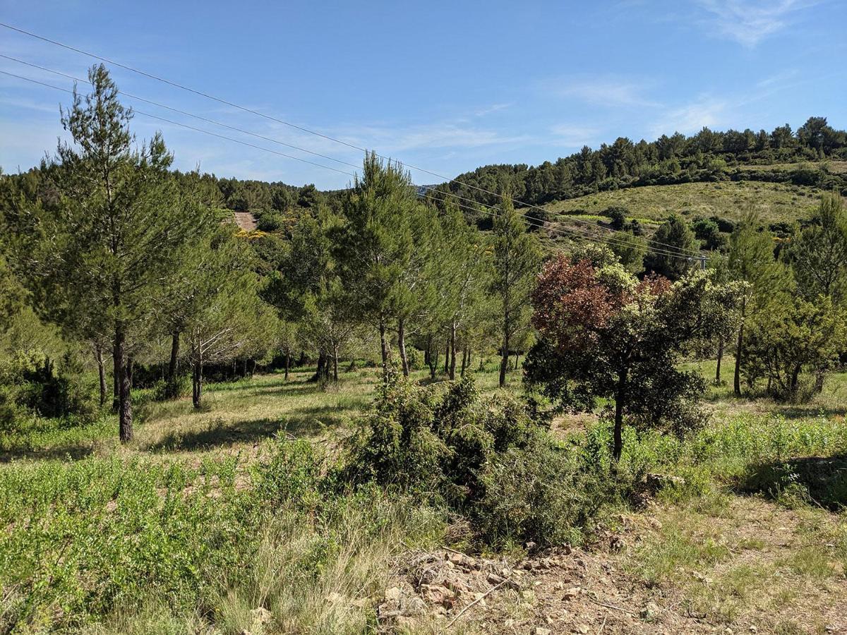 Bergerie éco-gîte Serre Rouge Durban-Corbieres Exterior foto